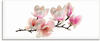 Artland Glasbild »Magnolie«, Blumen, (1 St.), in verschiedenen Größen