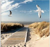 Artland Glasbild »Nordseestrand auf Langeoog mit Möwen«, Strand, (1 St.), in