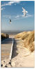 Artland Glasbild »Nordseestrand auf Langeoog mit Möwen«, Strand, (1 St.), in