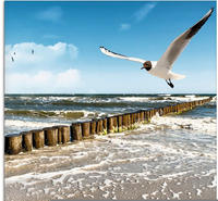 Artland Glasbild "Ostsee" Gew&auml;sser 1 Stk. tlg. in verschiedenen Gr&ouml;&szlig;en