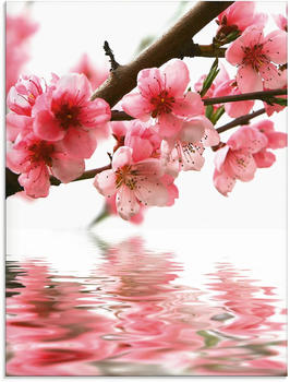 Art-Land Pfirsichblüten reflektieren im Wasser 45x60cm (15188956-0)
