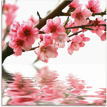 Art-Land Pfirsichblüten reflektieren im Wasser 50x50cm (60910713-0)