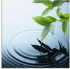 Artland Glasbild »Pflanze und Wasser«, Zen, (1 St.), in verschiedenen Größen