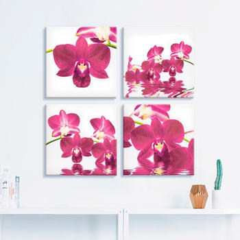 Art-Land Phalaenopsis Orchidee 30x30cm (73522707-0)