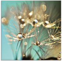Artland Glasbild "Pusteblume gl&auml;nzendes Gold" Blumen 1 Stk. tlg. in...