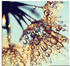 Art-Land Pusteblume Goldener Regen 30x30cm (21462257-0)