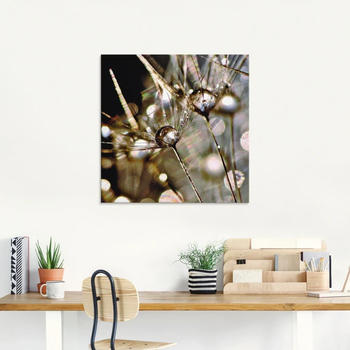 Art-Land Pusteblume mit Wasserperlen 30x30cm (54456608-0)