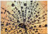 Art-Land Pusteblume Tröpfchenfang 50x50cm (88147335-0)