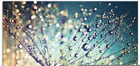 Artland Glasbild "Pusteblume Zaubertropfen" Blumen 1 Stk. tlg. in verschiedenen