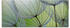 Art-Land Pusteblumen-Samen 125x50cm (48651421-0)