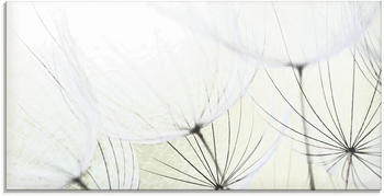 Art-Land Pusteblumen-Samen aufgehellt 100x50cm (48688631-0)