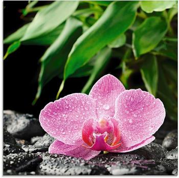 Art-Land Rosa Orchidee auf schwarzen Zen Steinen 30x30cm (69624319-0)
