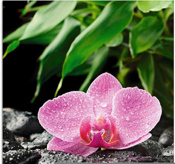 Art-Land Rosa Orchidee auf schwarzen Zen Steinen 50x50cm (10599255-0)