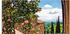 Art-Land Rosen auf Balkon Toskanalandschaft 80x60cm (57490565-0)