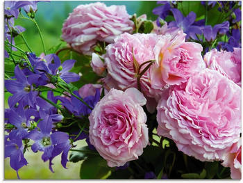 Art-Land Rosen und Glockenblumen 60x45cm (77853707-0)