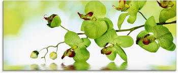Art-Land Schöne Orchidee mit grünem Hintergrund 125x50cm (37573821-0)