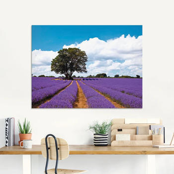 Art-Land Schönes Lavendelfeld im Sommer 60x45cm (90103117-0)