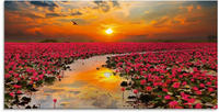 Artland Glasbild "Sonnenschein bl&uuml;hende Lotusblume" Blumen 1 Stk. tlg. in