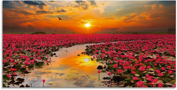 Art-Land Sonnenschein blühende Lotusblume 100x50cm (44363121-0)