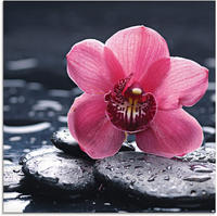 Artland Glasbild "Stillleben mit Kiesel und einer Orchidee" Blumen 1 Stk. tlg. in