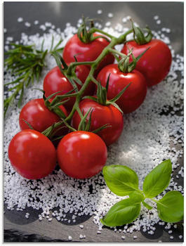Art-Land Tomaten Rispe auf Salz 45x60cm (70157825-0)