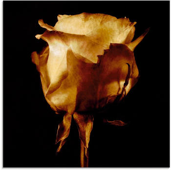 Art-Land Vergoldete Rose 30x30cm (82736818-0)