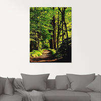 Artland Glasbild "Weg im Wald" Wald 1 Stk. tlg. in verschiedenen Gr&ouml;&szlig;en