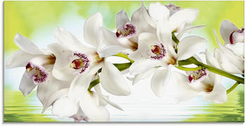 Art-Land Weiße Orchidee 100x50cm (88812967-0)
