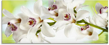 Art-Land Weiße Orchidee 125x50cm (68035025-0)