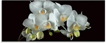 Art-Land Weiße Orchidee auf schwarzem Hintergrund 125x50cm (41131219-0)
