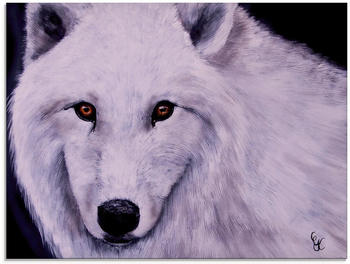 Art-Land Weißer Wolf 60x45cm (99570561-0)