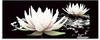 Artland Glasbild »Zwei Lotusblumen auf dem Wasser«, Blumen, (1 St.), in