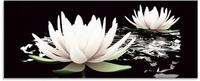 Artland Glasbild "Zwei Lotusblumen auf dem Wasser" Blumen 1 Stk. tlg. in