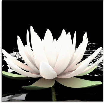 Art-Land Zwei Lotusblumen auf dem Wasser 20x20cm (35842031-0)