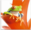 Artland Glasbild »Frosch auf seinem Thron«, Wassertiere, (1 St.)