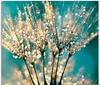 Artland Glasbild »Pusteblume Schirmchen abstrakt«, Blumen, (1 St.), in