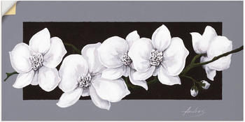 Art-Land Weiße Orchideen auf grau 150x75cm (76555261-0)