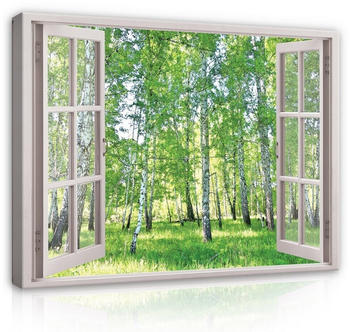Wallarena Fensterblick Birkenwald 80x40cm