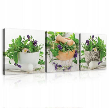 Wallarena Küche Gewürze Kräuter 75x25cm 3-teilig