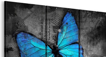 Artgeist Studie des Schmetterlings Triptychon 60x40cm Artgeist Studie des Schmetterlings Triptychon 60x40cm