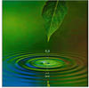 Artland Glasbild »Wassertropfen«, Zen, (1 St.), in verschiedenen Größen