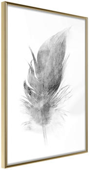 Artgeist Lost Feather (Grey) 20x30cm goldener Rahmen Artgeist Lost Feather (Grey) 20x30cm goldener Rahmen