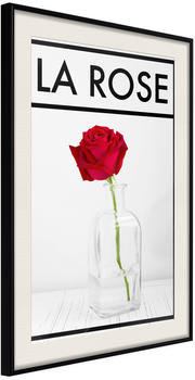 Artgeist Rose in the Vase 20x30cm schwarzer Rahmen mit Passepartout