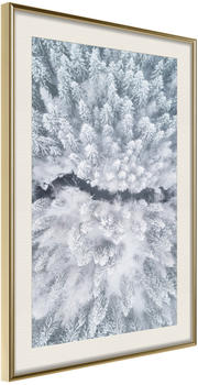 Artgeist Winter Forest From a Bird's Eye View 40x60cm goldener Rahmen mit Passepartout