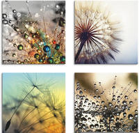 Artland Leinwandbild "Pusteblume,Nahaufnahme L&ouml;wenzahn" Blumen 4 Stk. tlg. 4er...