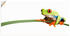 Art-Land Frosch auf einem Blatt 40x20cm (25215831-0)