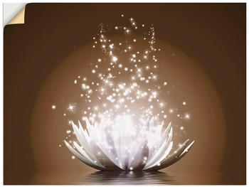 Art-Land Magie der Lotus-Blume 60x45cm (24968232-0)