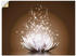Art-Land Magie der Lotus-Blume 60x45cm (24968232-0)