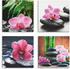 Art-Land Orchidee Zenstein Tropfen Spa Konzept 20x20cm (49897651-0)