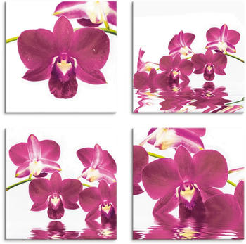 Art-Land Phalaenopsis Orchidee 20x20cm (72793025-0)